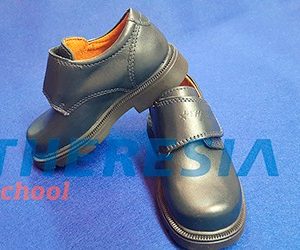 Zapato colegial marino con velcro